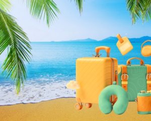 Travel accessories